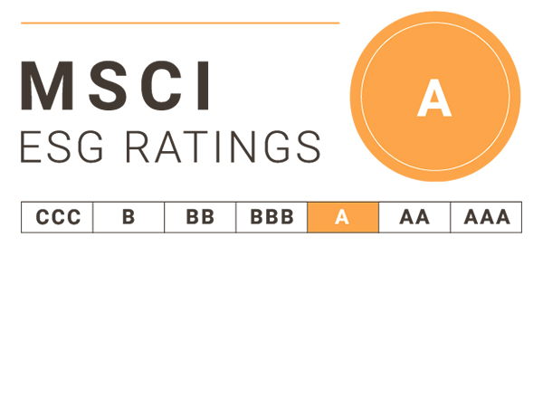 ESG Evaluations